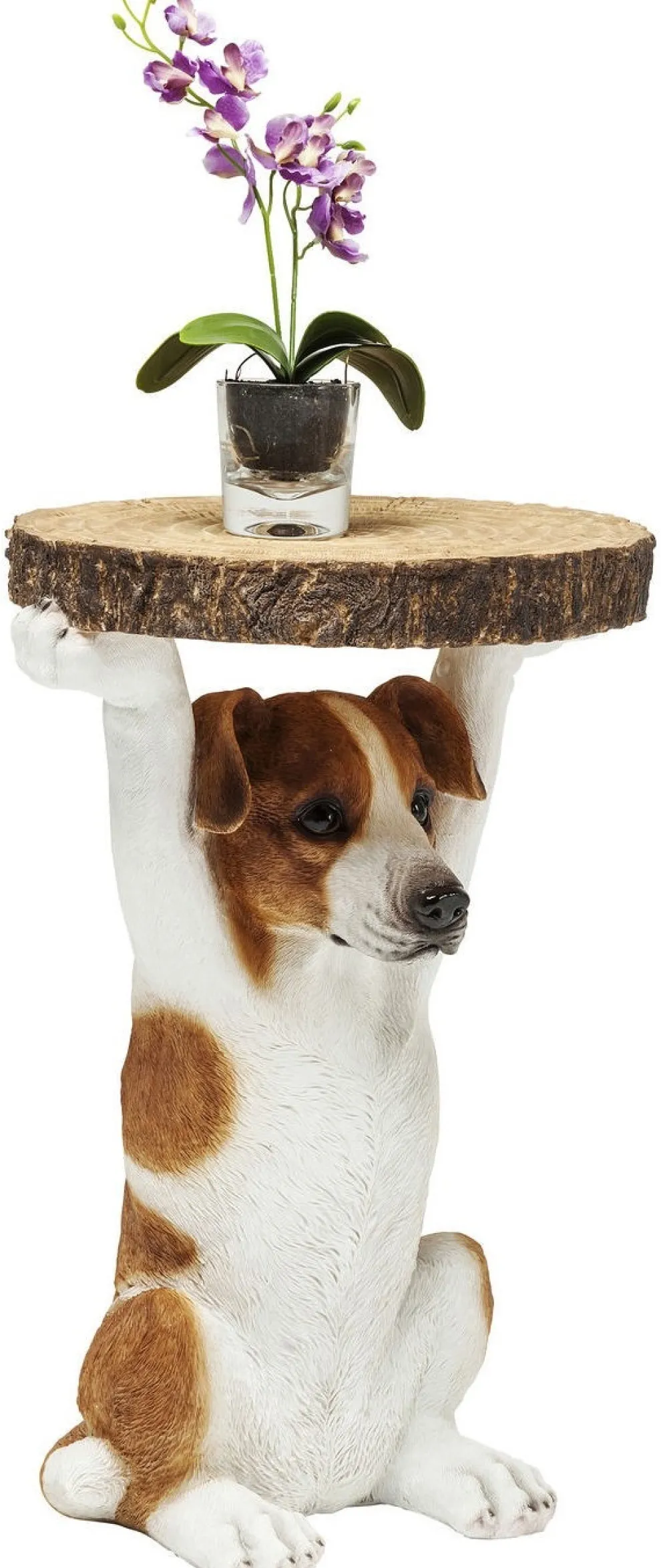 Bijzettafel Animal Mr Jack Ø33cm