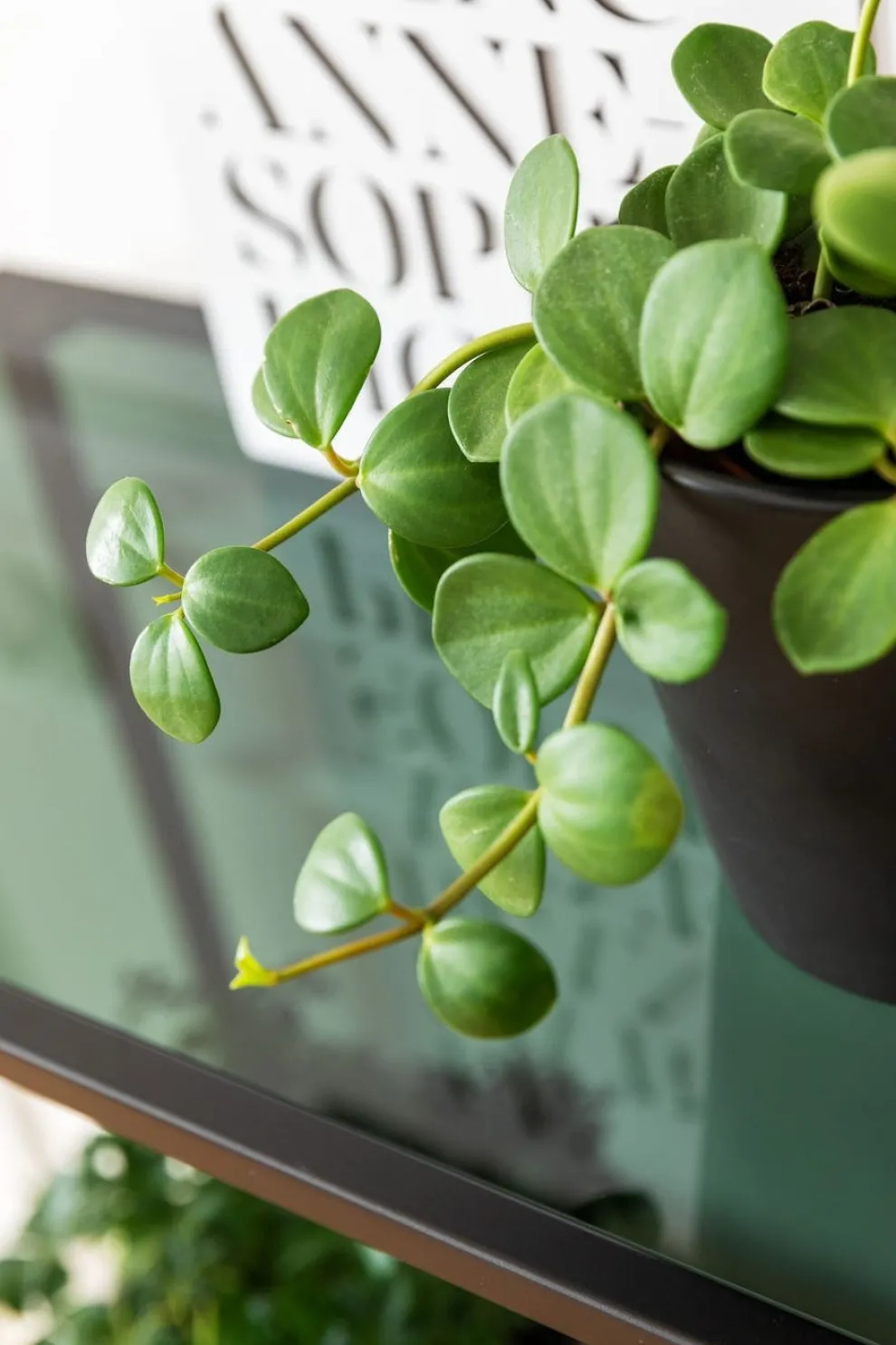 Boekenkast Loft Zwart 195x115cm