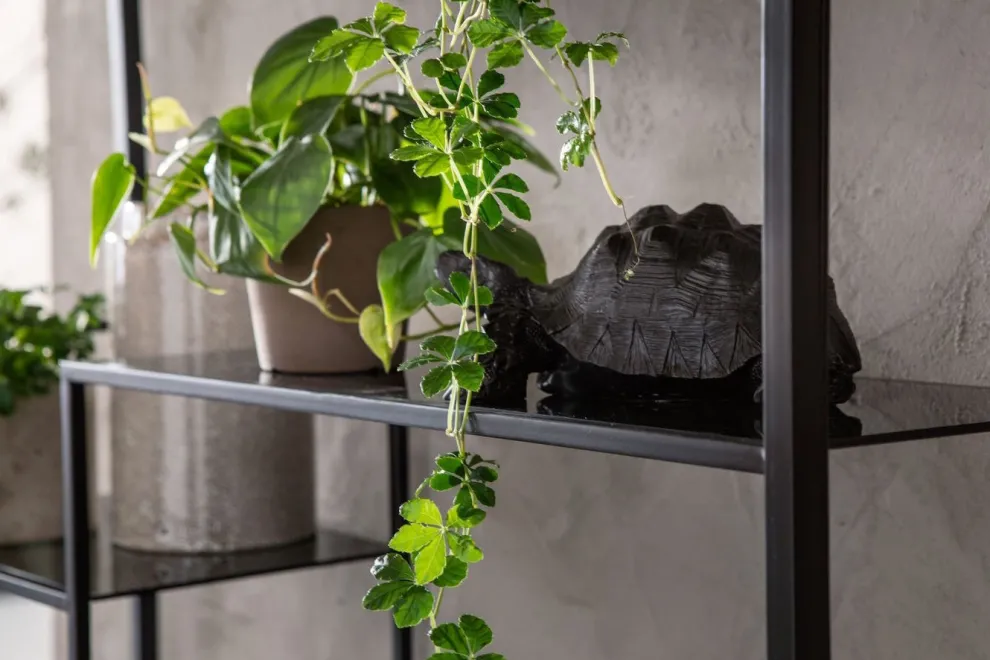 Boekenkast Loft Zwart 195x115cm