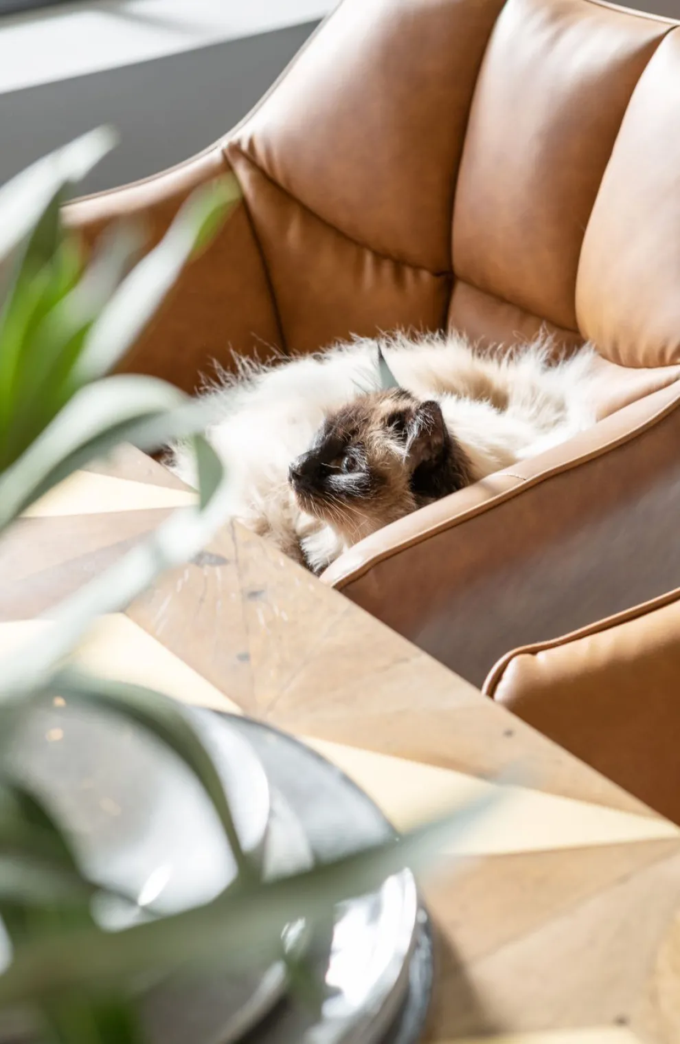 Eetkamerstoel Thinktank Bruin