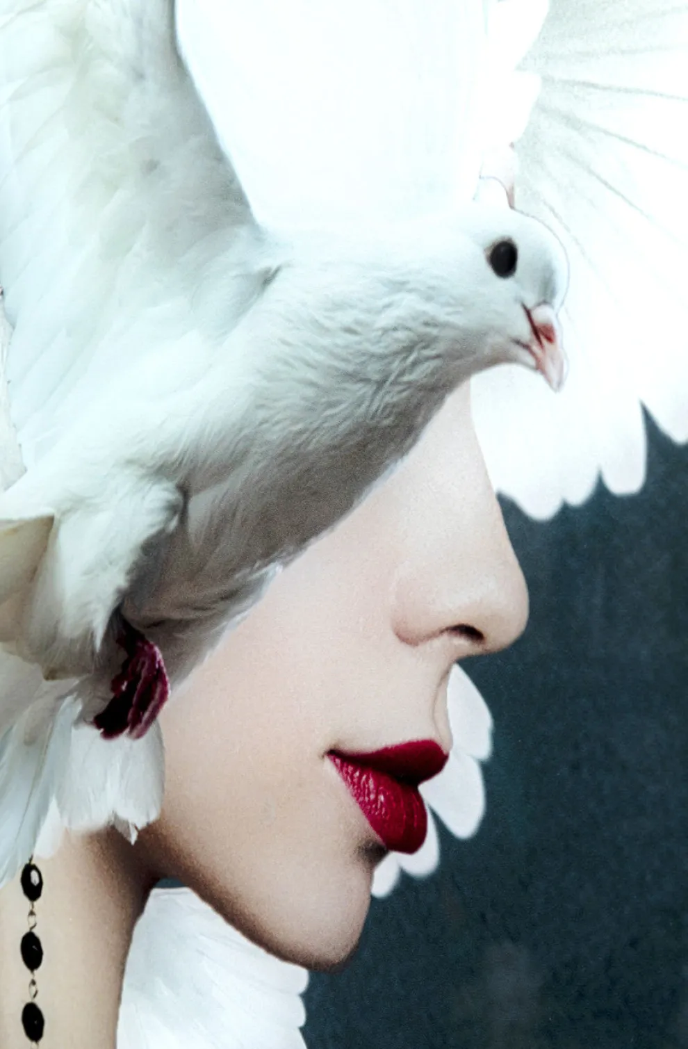 Glasschilderij Mother Of Doves 80x120cm