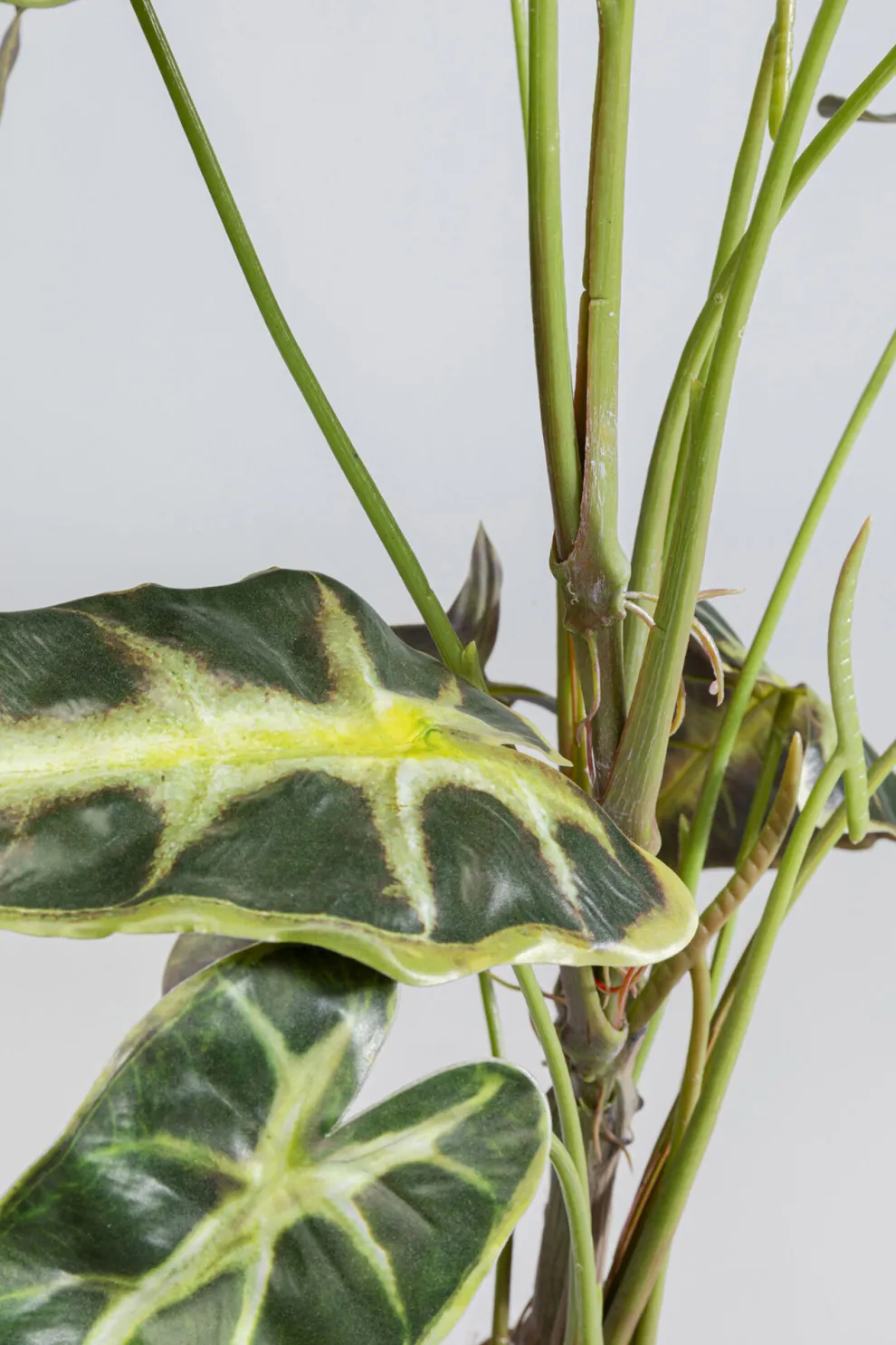 Kunstplant Alocasia 80cm