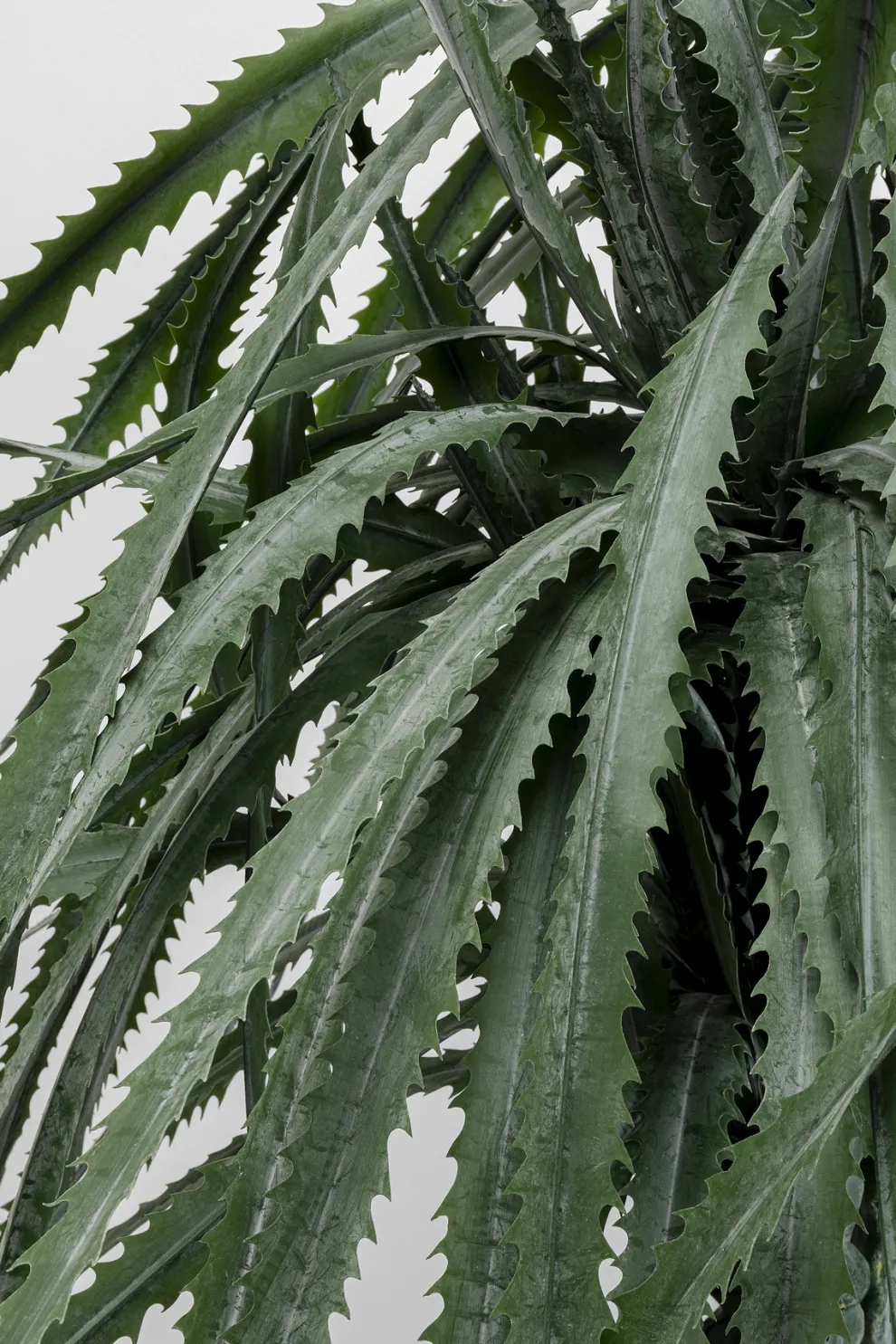 Kunstplant Dragon Tree 155cm