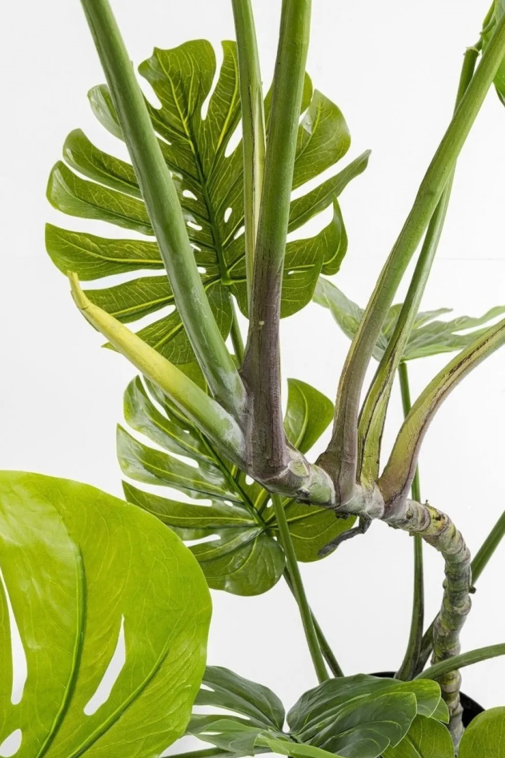 Kunstplant Monstera 110cm