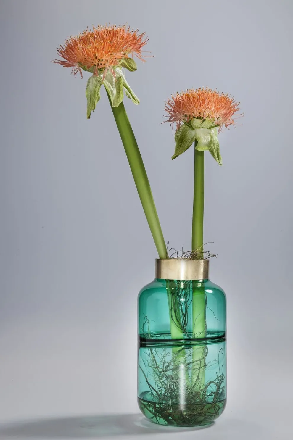 Vaas Positano Belly Groen 28cm