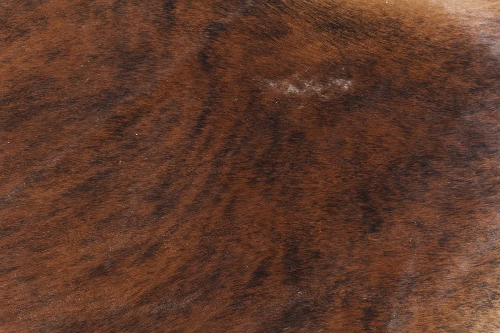 Vloerkleed Hide Bruin-Wit 150x190cm