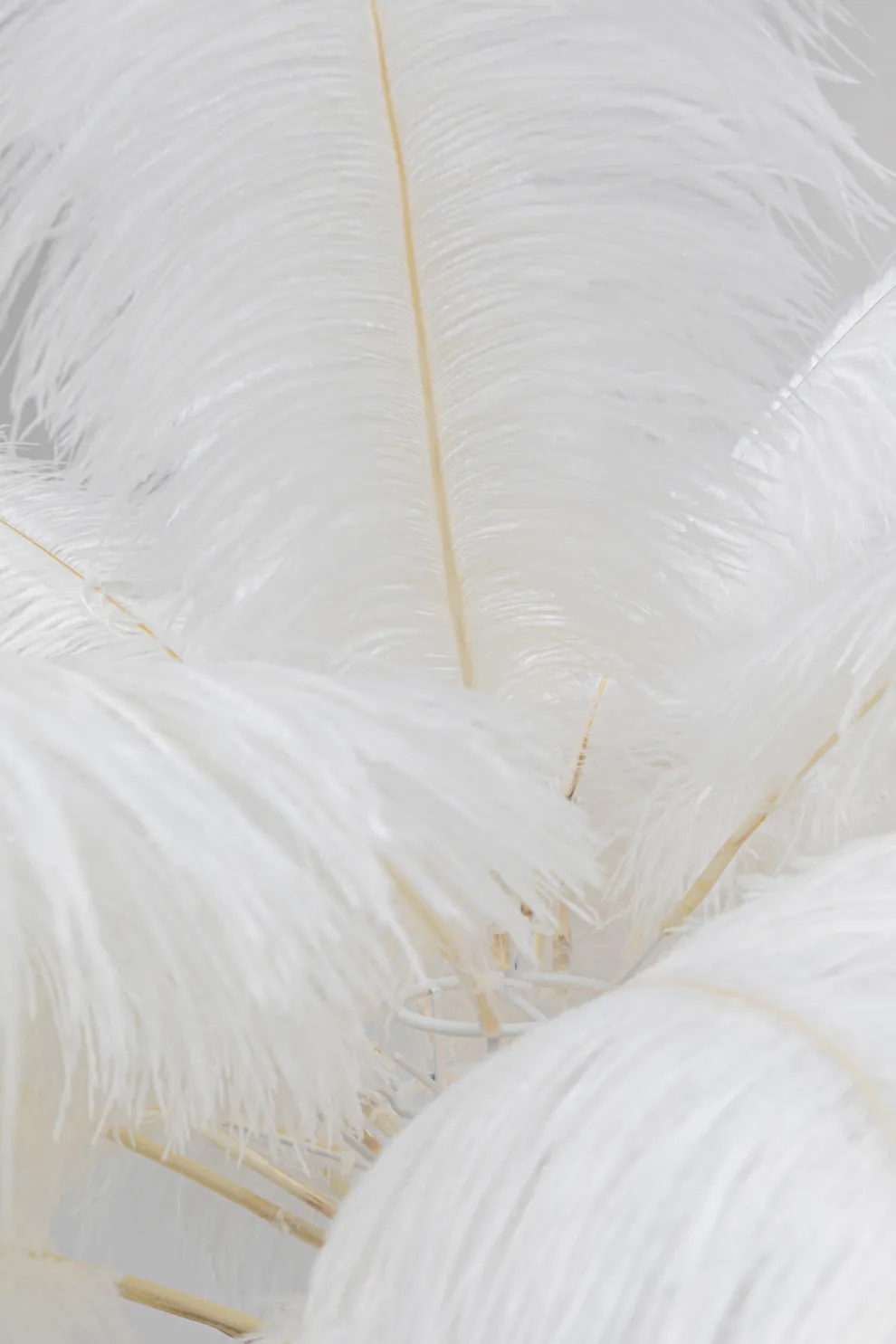 Vloerlamp Feather Palm White 165cm