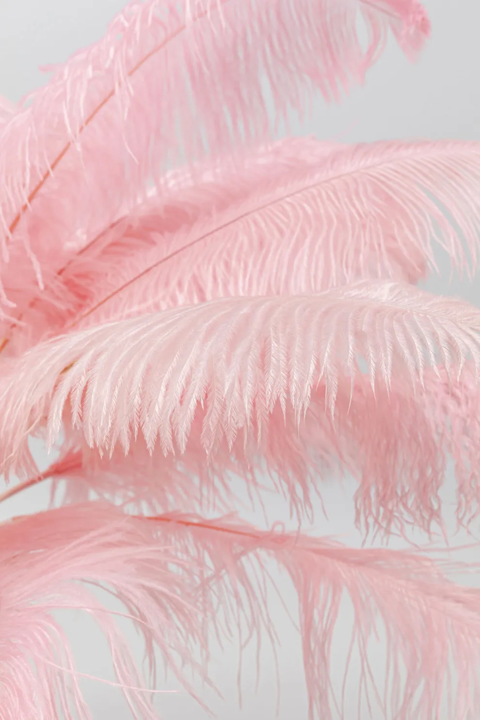 Vloerlamp Feather Palm Pink 165cm