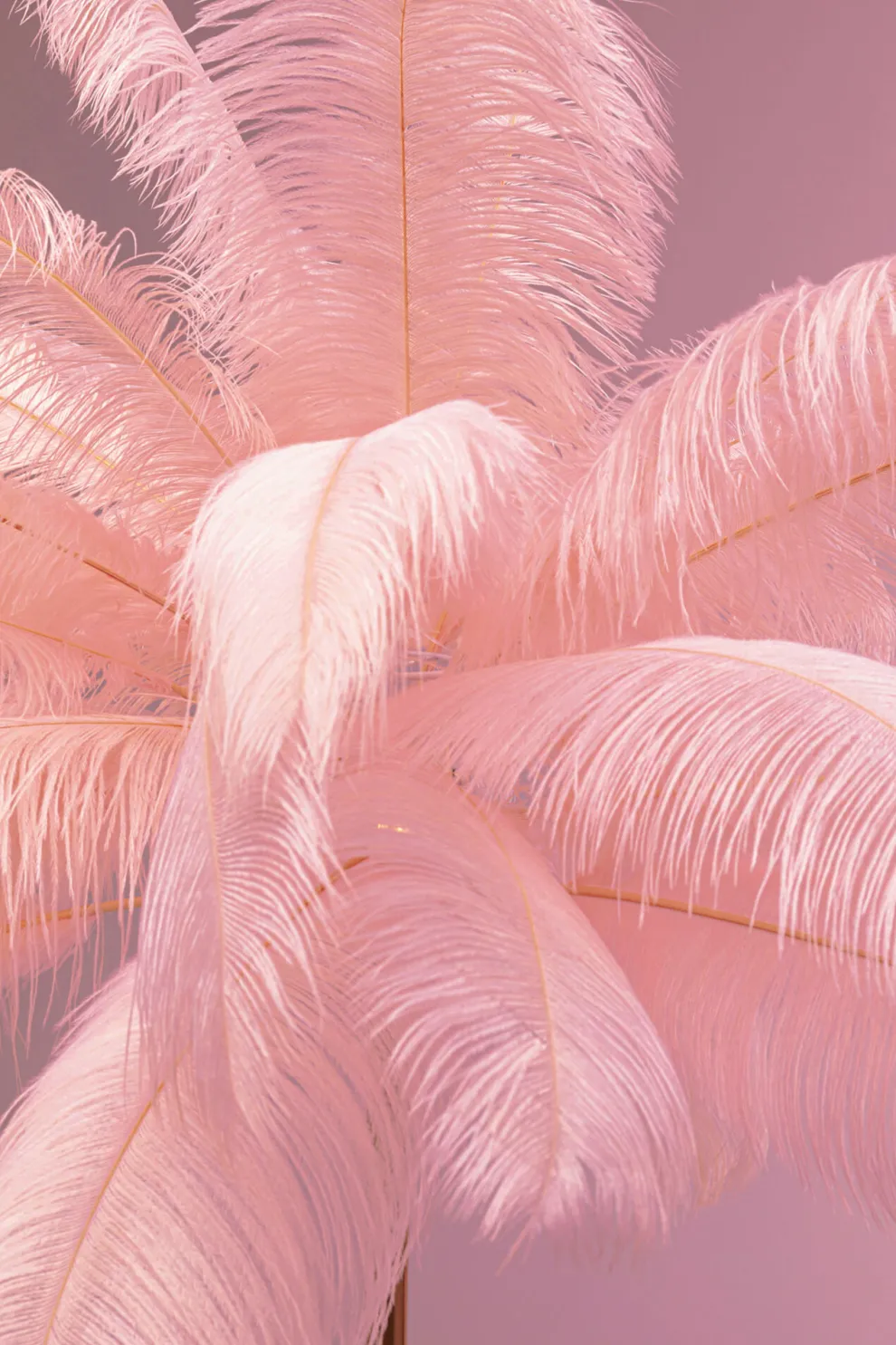 Vloerlamp Feather Palm Pink 165cm