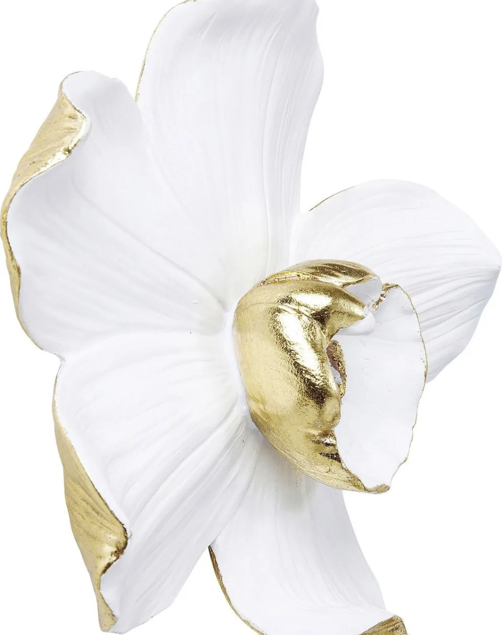 Wanddecoratie Orchid Wit 25cm