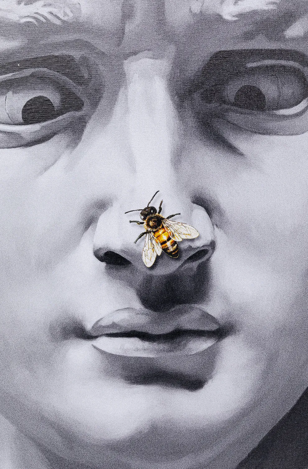 Wandfoto Foto Statue 100x125cm